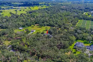 11832 Neal Rd, Lithia, FL 33547 - Photo 64