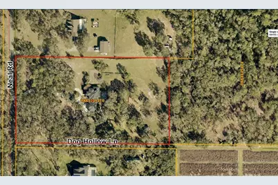 11832 Neal Road, Lithia, FL 33547 - Photo 60