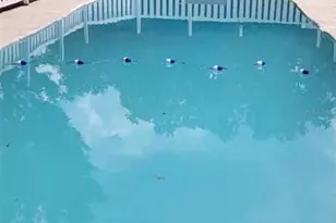 39243 Lizabeth Cir, Zephyrhills, FL 33542 - Photo 74