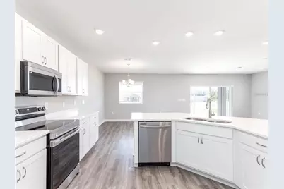 12292 Cypress Branch Street, Riverview, FL 33579 - Photo 2