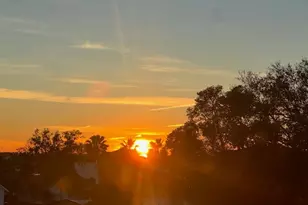 116 Carlyle Cir, Palm Harbor, FL 34683 - Photo 88