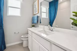 31337 Paper Birch St, Wesley Chapel, FL 33545 - Photo 22