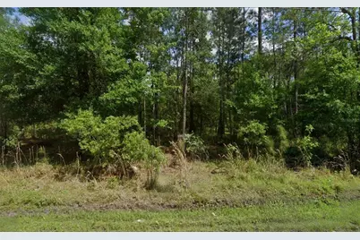 2235 8th Avenue, Deland, FL 32724 - Photo 2