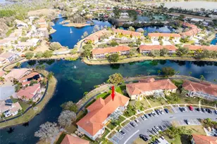 6808 Dali Ave, Land O Lakes, FL 34637 - Photo 24