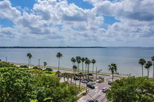 2401 Bayshore Blvd, Tampa, FL 33629 - Photo 34