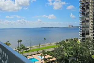 2401 Bayshore Blvd, Tampa, FL 33629 - Photo 2
