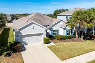 11218 Coventry Grove Cir, Lithia, FL 33547 - Photo 2