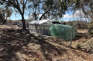 6001 Five Acre Rd, Plant City, FL 33565 - Photo 34