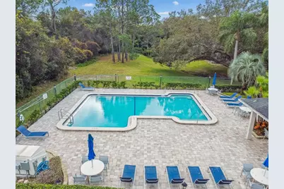 115 Steeplechase Lane, Palm Harbor, FL 34684 - Photo 60