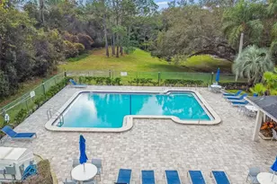 115 Steeplechase Ln, Palm Harbor, FL 34684 - Photo 60