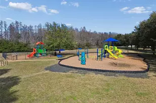 1053 Ketzal Dr, Trinity, FL 34655 - Photo 76