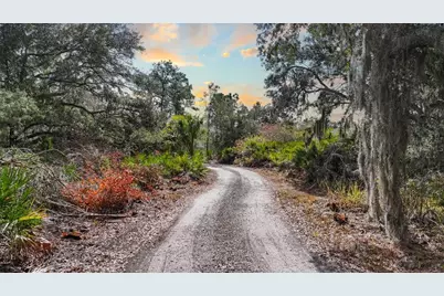 12730 Bullfrog Creek Road, Gibsonton, FL 33534 - Photo 8