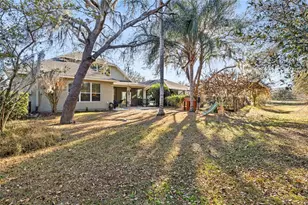 15814 Starling Water Dr, Lithia, FL 33547 - Photo 44