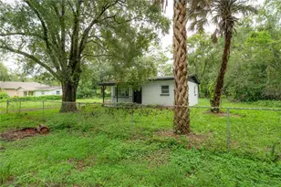 10411 N Woodmere Rd, Tampa, FL 33617 - Photo 26