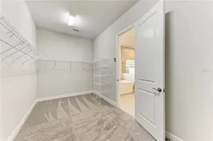 10862 Spring Sapling Cir, Parrish, FL 34219 - Photo 10