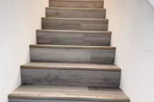 7328 E Bank Dr, Tampa, FL 33617 - Photo 12