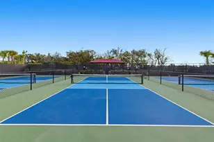 10141 Spruce River Wy, Parrish, FL 34219 - Photo 48