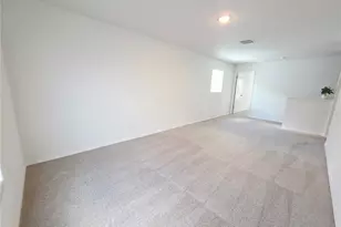 13031 Bluff Oak Wy, Parrish, FL 34219 - Photo 54