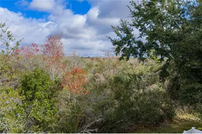 31137 Whinsenton Drive, Wesley Chapel, FL 33543 - Photo 68