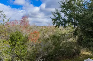 31137 Whinsenton Dr, Wesley Chapel, FL 33543 - Photo 68