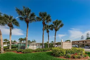 106 Camille Ct, Oldsmar, FL 34677 - Photo 76