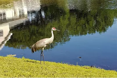 16013 N Florida Avenue, Lutz, FL 33549 - Photo 16