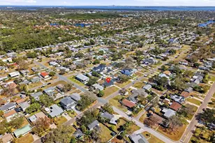 411 42nd Ave NE, Saint Petersburg, FL 33703 - Photo 38