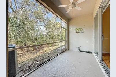 3589 Country Pointe Place, Palm Harbor, FL 34684 - Photo 14