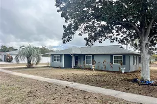 1128 Trellis Ave, Spring Hill, FL 34606 - Photo 4