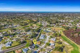 3514 E Links Ct, Palm Harbor, FL 34684 - Photo 96