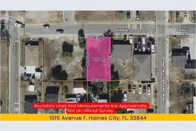 1015 Avenue F, Haines City, FL 33844 - Photo 4