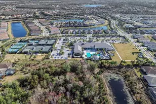 15640 Aurora Lake Cir, Wimauma, FL 33598 - Photo 30