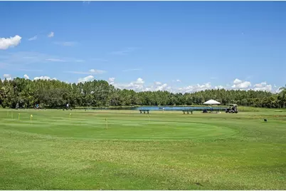 18110 Turtle Beach Way, Tampa, FL 33647 - Photo 58