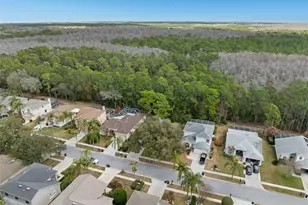 1727 Bayhill Dr, Oldsmar, FL 34677 - Photo 38