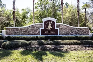 15106 Kestrelrise Dr, Lithia, FL 33547 - Photo 72