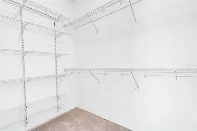 13413 Batten Lane, Odessa, FL 33556 - Photo 22
