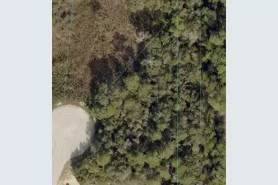 Sw 98th Place, Ocala, FL 34476 - Photo 2