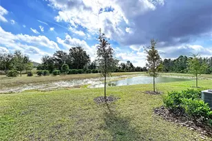 10946 Wishing Cloud Rd, Land O Lakes, FL 34638 - Photo 60