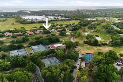 1368 Playmoor Drive, Palm Harbor, FL 34683 - Photo 70