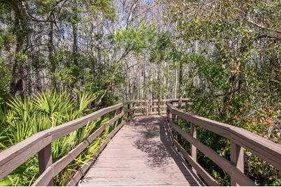 1900 Paw Paw Place, Trinity, FL 34655 - Photo 64