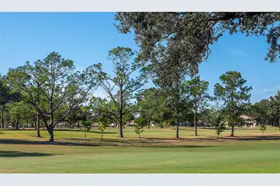 1303 Glengarry Drive, Palm Harbor, FL 34684 - Photo 34