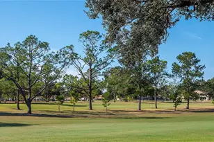 1303 Glengarry Dr, Palm Harbor, FL 34684 - Photo 34