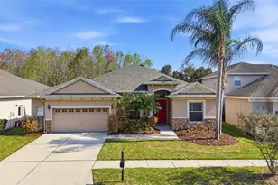 3235 Grassglen Pl, Wesley Chapel, FL 33544 - Photo 66
