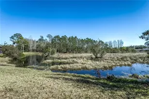 20914 Ruby Red Way, Land O Lakes, FL 34637 - Photo 24