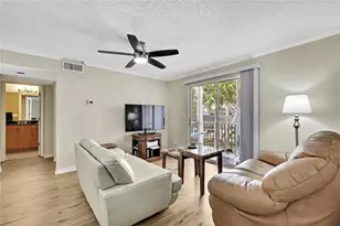 3311 Haviland Ct, Palm Harbor, FL 34684 - Photo 6