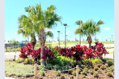 32955 Osprey Peak Way, San Antonio, FL 33576 - Photo 18