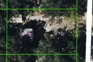 8351 Formel Ave, Port Richey, FL 34668 - Photo 1