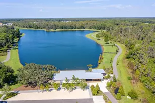 3934 Maurice Ave, Odessa, FL 33556 - Photo 30