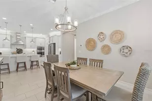 4563 San Martino Dr, Wesley Chapel, FL 33543 - Photo 20