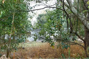 40211 Friar Tuck Trail, Zephyrhills, FL 33540 - Photo 4